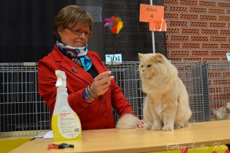 Findus op de keurtafel van Mary-Lise de Landtsheer